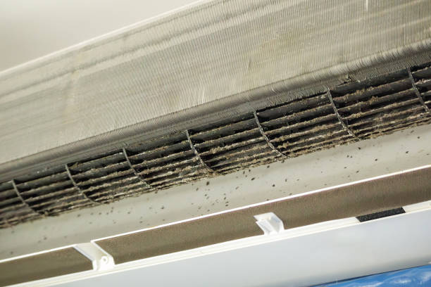 Best Affordable Duct Cleaning Services  in Columbia City, OR